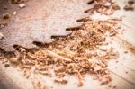 Close Up Of Circular Saw And Saw Dust Stock Photo