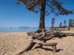 Landscape Of Lake Tahoe Stock Photo