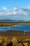 Beautiful Marshlands Stock Photo