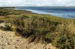 Natural Ria Formosa Marshlands Stock Photo