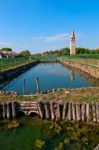 Venice Burano Mazorbo Vineyard Stock Photo