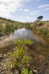 Beautiful Spring View Of A Countryside Stream Of Water Located In Portugal Stock Photo