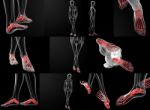 3d Rendering Illustration Of The Foot Bone Stock Photo