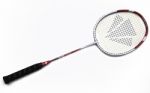 Badminton Stock Photo