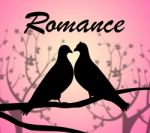 Romance Doves Shows Love Birds And Adoration Stock Photo