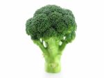 Broccoli Stock Photo