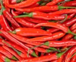 Chili Pepper Isolated On A White Background Stock Photo