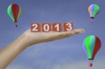 2013 On Palm Stock Photo