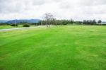 Lawn With Nature On Mountain Stock Photo