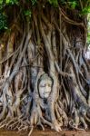 Buddha's Head Trapped In The Roots Of A Tree Stock Photo