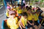 Primary Students Visit The Zoo, In The Jul 27, 2016. Bangkok Thailand Stock Photo