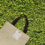 Shopping Bag On Green Leaves Stock Photo