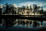 Reflection Of The Tree In Lake Stock Photo