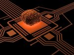 Processor And Human Brain Stock Photo