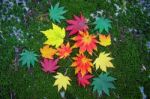 Maple In Autumn In Korea Stock Photo