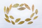 Dried Bay Leaves On White Wooden Background Stock Photo