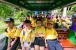 Primary Students Visit The Zoo, In The Jul 27, 2016. Bangkok Thailand Stock Photo