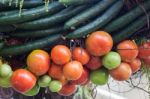 Organic Fresh Tomatoes And Zucchinis Up Close Stock Photo