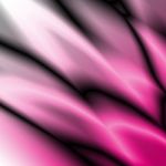 Pink Abstract Background Stock Photo