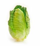 Cabbage On White Background Stock Photo