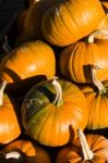 Pumpkin Or Pumpkin Sale Stock Photo