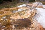 Mammoth Hot Springs Stock Photo