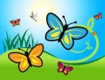 Butterflies And Flowers Show Nature And Summer Stock Photo