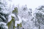 Falling Snow At Guanyin Statue In A Winter With Snow Covered Trees Stock Photo