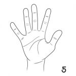 Sign Language,number 5 Stock Photo