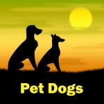 Pet Dogs Represents Domestic Animals And Canine Stock Photo