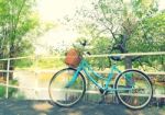 Bicycle Waiting Near Tree Stock Photo