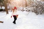 Beautiful Young Woman In The Winter Stock Photo