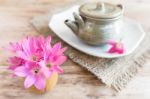 Rain Lily On Wood Background Stock Photo