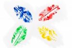 Four Watercolor Leaves Stock Photo