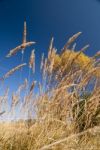 Autumn  Colors Stock Photo