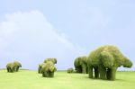 Topiary Elephants Stock Photo