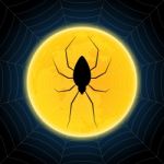 Halloween Spider Hanging Web Moon Background Stock Photo