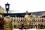 A Dog Looking Over A Fence In A Mist Covered Photograph Stock Photo