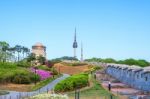 Seoul Tower,namsan Tower In Korea Stock Photo