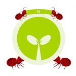 Red Ants And Nature Symbol Illustration Stock Photo