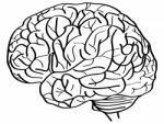 Doodle Uman Brain Outline Sketched Up Stock Photo