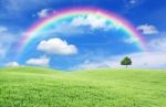 Green Field And Rainbow Stock Photo