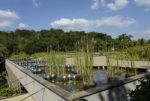 Inhotim Public Art Museum In The Brazilian State Of Minas Gerais Stock Photo