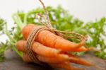 Baby Carrots Bunch Tied With Rope Stock Photo