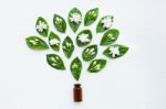 Glass Bottle With Jasmine Flower And Leaves Stock Photo