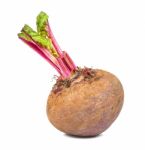 Beetroot Isolated On The White Background Stock Photo