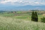 Farm In Val D'orcia Tuscany Stock Photo