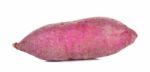 Sweet Potato Isolated On The White Background Stock Photo