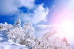 Deogyusan Mountains Is Covered By Snow In Winter,south Korea Stock Photo