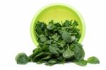 Bunch Of Fresh Spinach On A Green Bowl Stock Photo